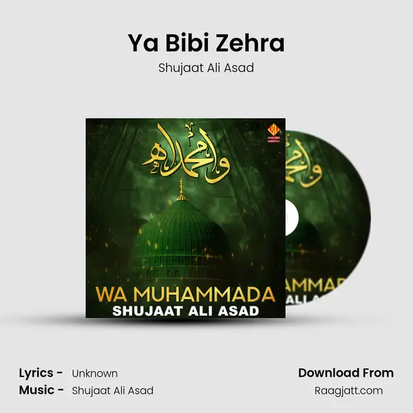 Ya Bibi Zehra mp3 song