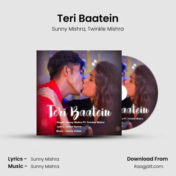 Teri Baatein - Sunny Mishra album cover 