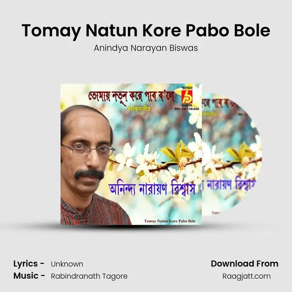 Tomay Natun Kore Pabo Bole mp3 song