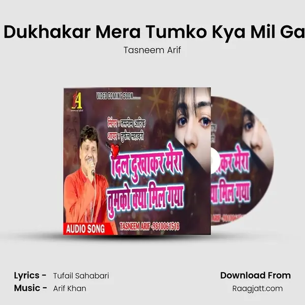 Dil Dukhakar Mera Tumko Kya Mil Gaya mp3 song