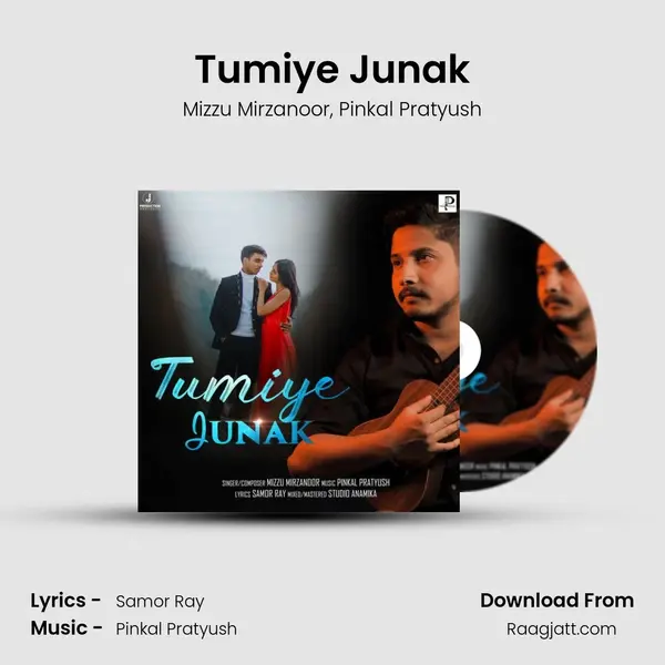 Tumiye Junak - Mizzu Mirzanoor album cover 