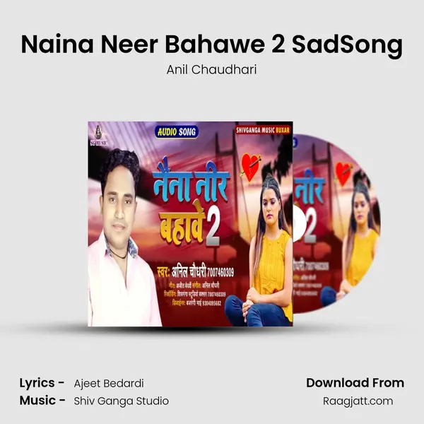 Naina Neer Bahawe 2 SadSong - Anil Chaudhari album cover 