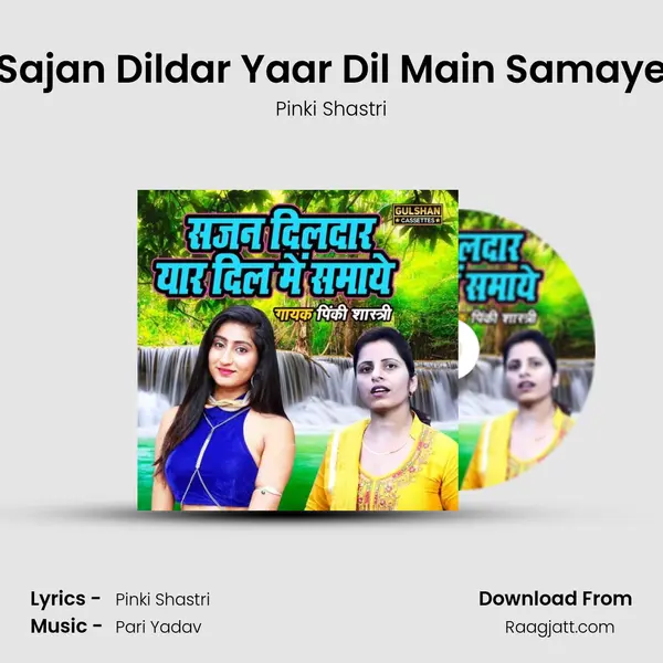 Sajan Dildar Yaar Dil Main Samaye - Pinki Shastri album cover 