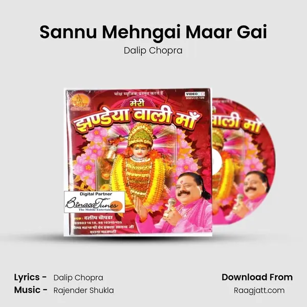 Sannu Mehngai Maar Gai - Dalip Chopra album cover 