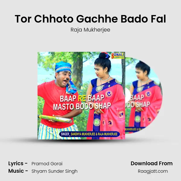 Tor Chhoto Gachhe Bado Fal mp3 song