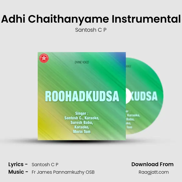 Adhi Chaithanyame Instrumental - Santosh C P album cover 