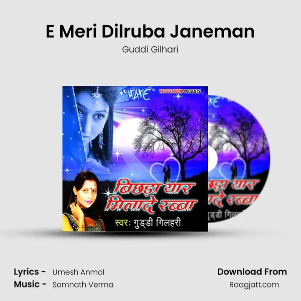 E Meri Dilruba Janeman mp3 song