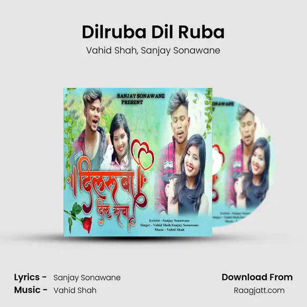 Dilruba Dil Ruba - Vahid Shah album cover 