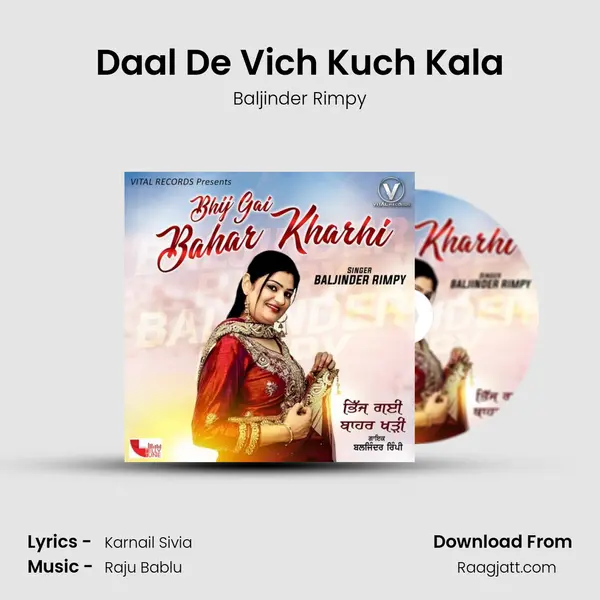 Daal De Vich Kuch Kala - Baljinder Rimpy album cover 