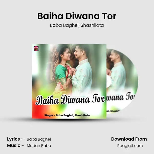 Baiha Diwana Tor - Baba Baghel album cover 