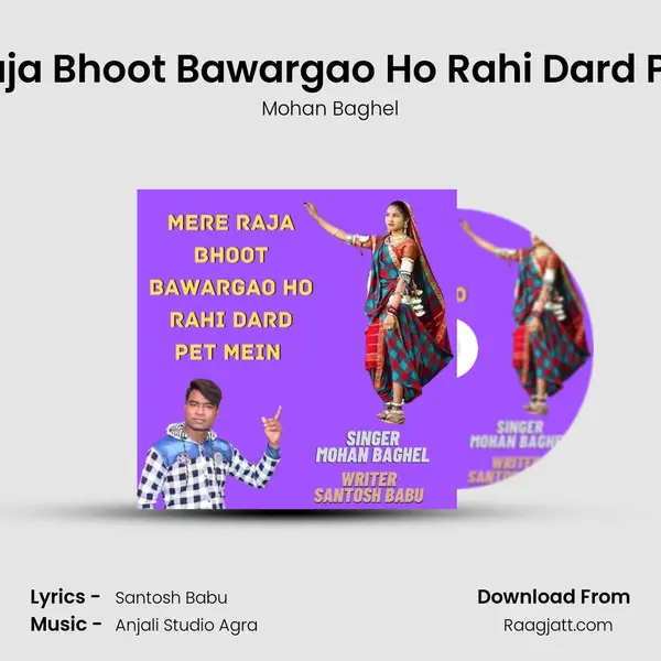 Mere Raja Bhoot Bawargao Ho Rahi Dard Pet Mein - Mohan Baghel album cover 