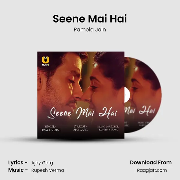 Seene Mai Hai - Pamela Jain album cover 