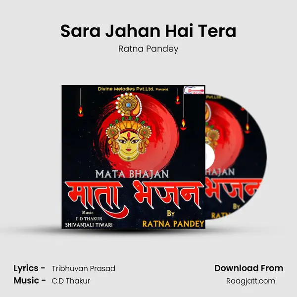 Sara Jahan Hai Tera mp3 song