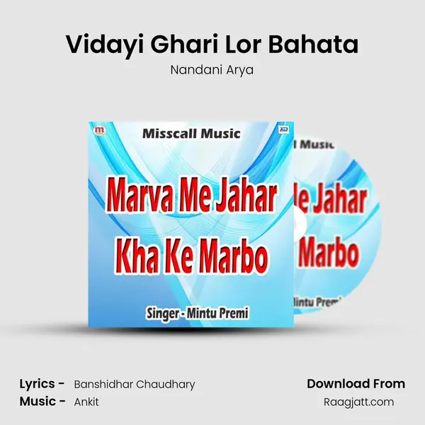 Vidayi Ghari Lor Bahata mp3 song