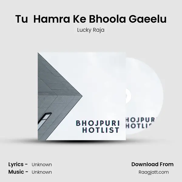 Tu  Hamra Ke Bhoola Gaeelu mp3 song