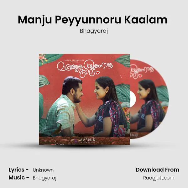 Manju Peyyunnoru Kaalam (Instrumental Version 1) - Bhagyaraj album cover 