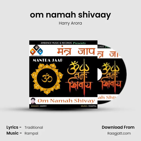 om namah shivaay - Harry Arora album cover 