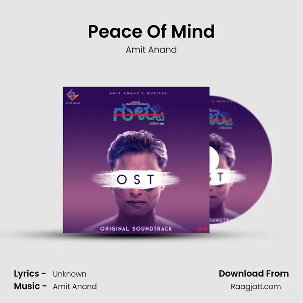 Peace Of Mind - Amit Anand album cover 