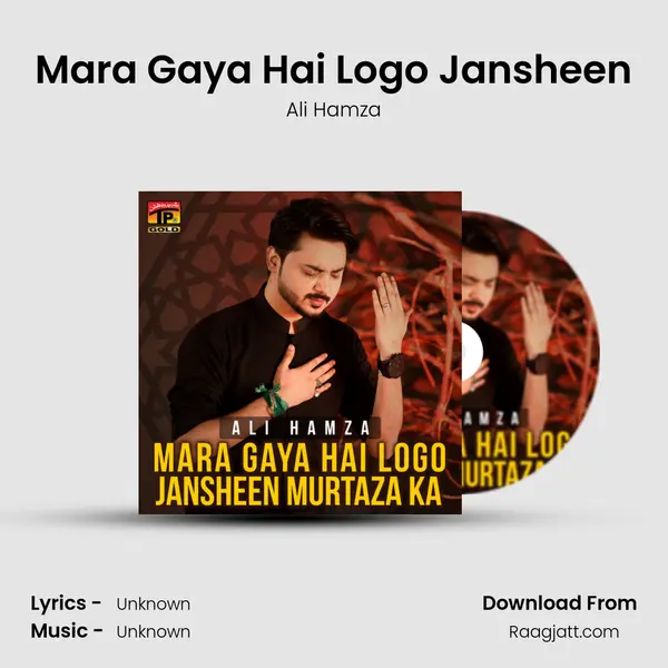 Mara Gaya Hai Logo Jansheen - Ali Hamza album cover 