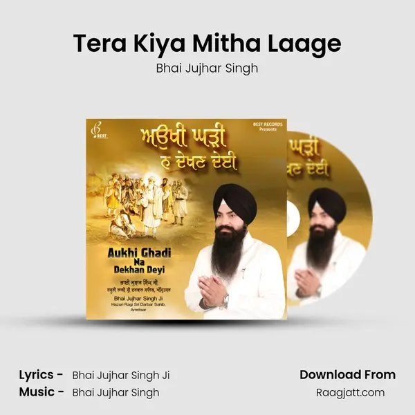 Tera Kiya Mitha Laage - Bhai Jujhar Singh album cover 