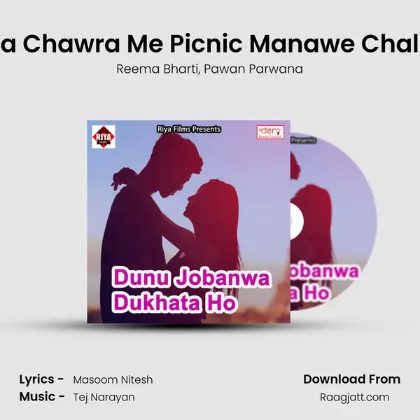 Raja Chawra Me Picnic Manawe Chal Ho - Reema Bharti album cover 