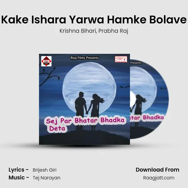 Kake Ishara Yarwa Hamke Bolave - Krishna Bihari album cover 