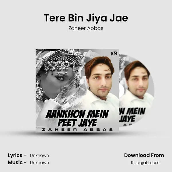 Tere Bin Jiya Jae - Zaheer Abbas album cover 