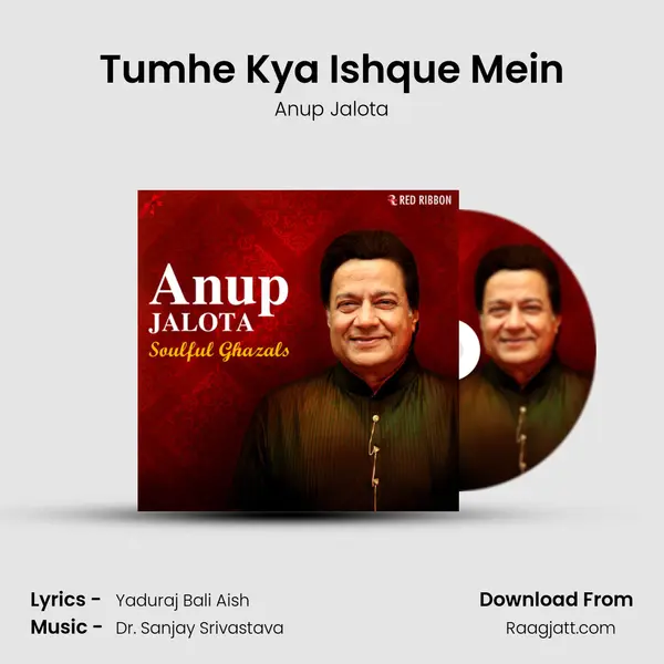 Tumhe Kya Ishque Mein mp3 song