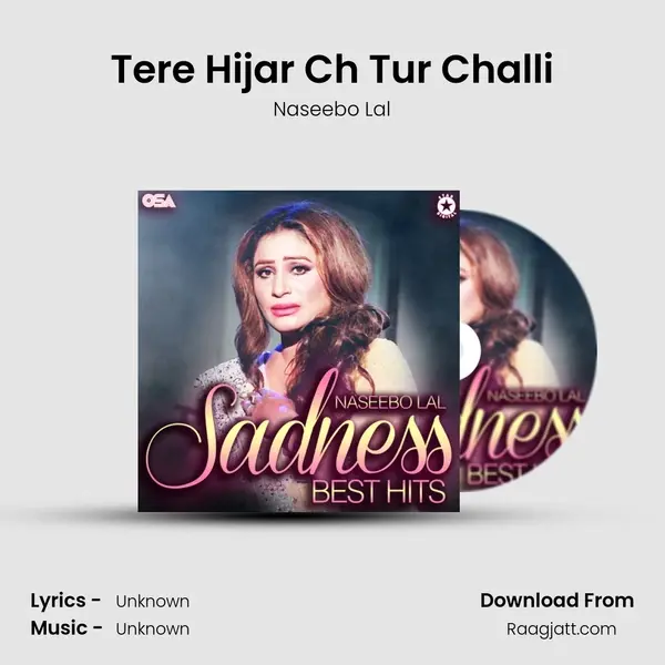 Tere Hijar Ch Tur Challi mp3 song