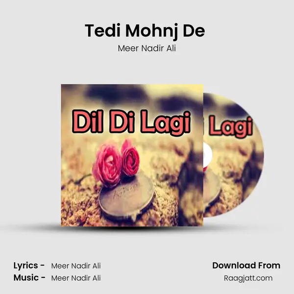 Tedi Mohnj De (Dohry Hi Dohry) - Meer Nadir Ali album cover 