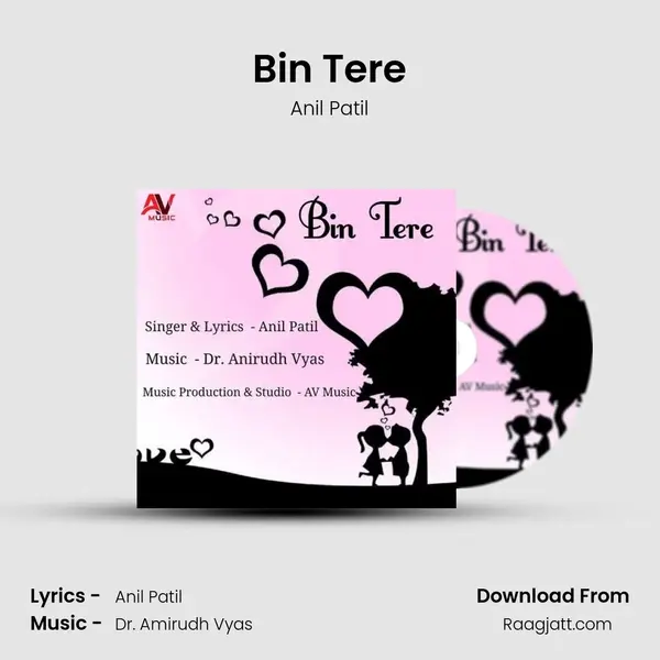 Bin Tere - Anil Patil album cover 