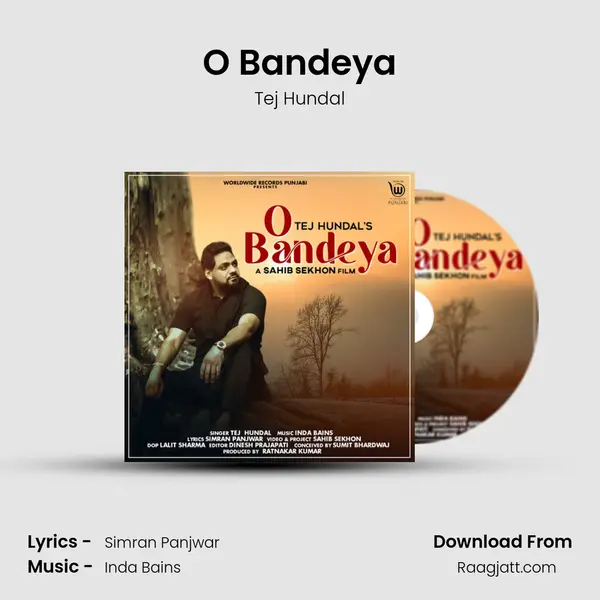 O Bandeya - Tej Hundal album cover 