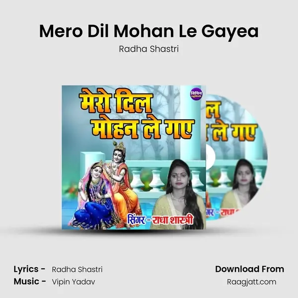 Mero Dil Mohan Le Gayea mp3 song