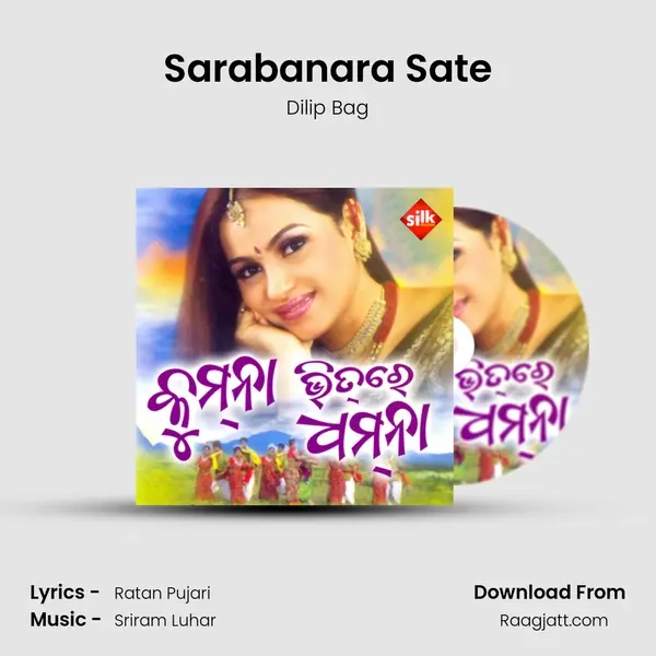 Sarabanara Sate - Dilip Bag album cover 