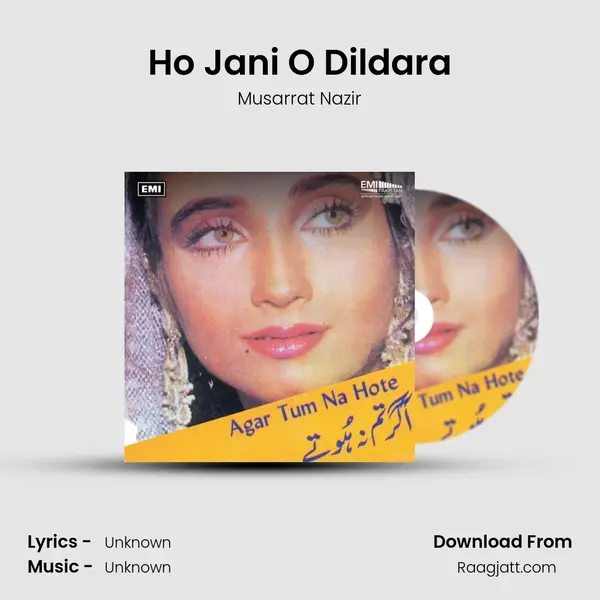 Ho Jani O Dildara - Musarrat Nazir album cover 