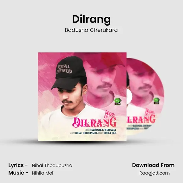 Dilrang mp3 song