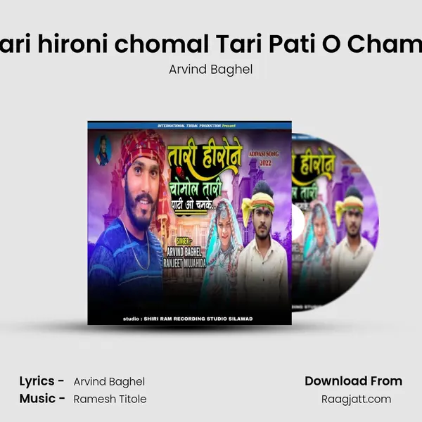 Thari hironi chomal Tari Pati O Chamke mp3 song