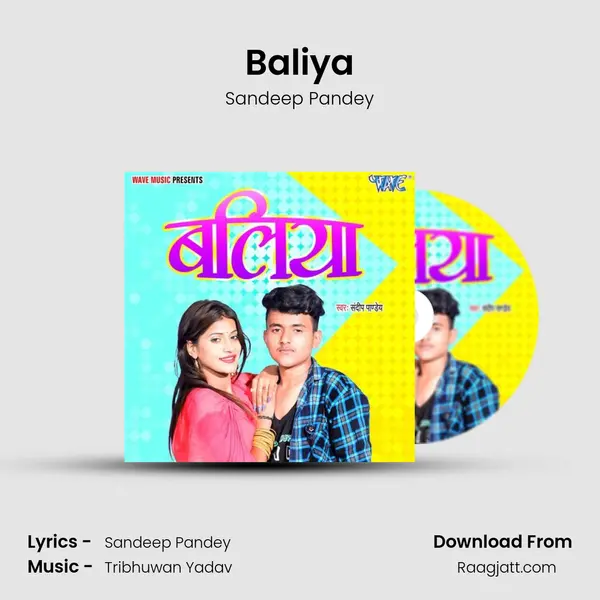 Baliya - Sandeep Pandey album cover 