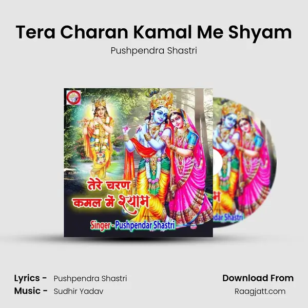 Tera Charan Kamal Me Shyam - Pushpendra Shastri album cover 