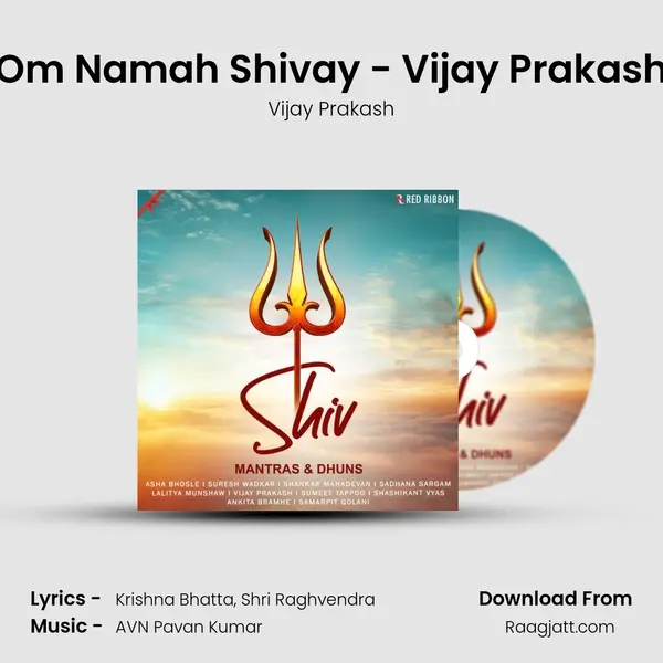 Om Namah Shivay - Vijay Prakash - Vijay Prakash mp3 song