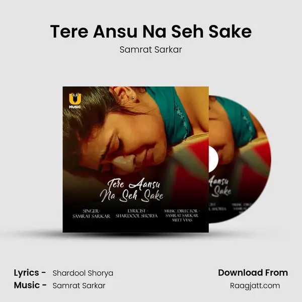 Tere Ansu Na Seh Sake mp3 song