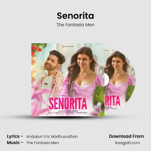 Senorita mp3 song