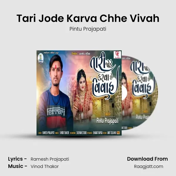 Tari Jode Karva Chhe Vivah - Pintu Prajapati album cover 