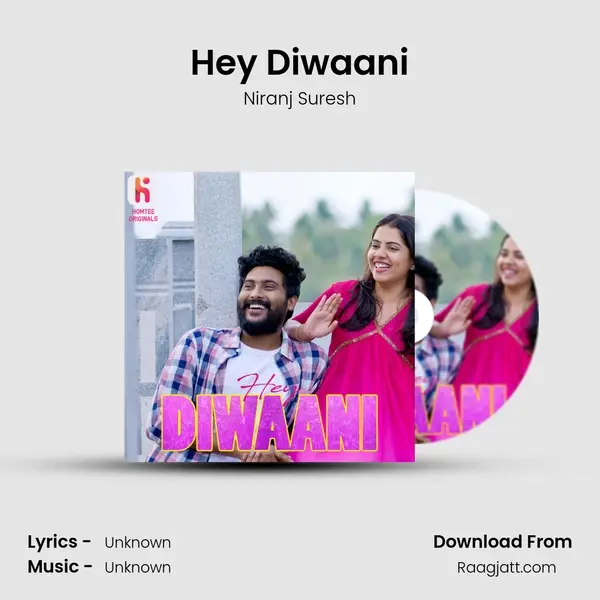 Hey Diwaani - Niranj Suresh album cover 