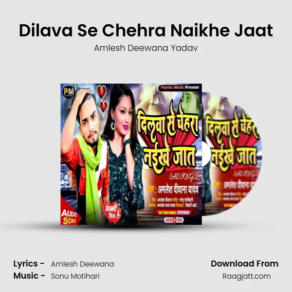 Dilava Se Chehra Naikhe Jaat mp3 song