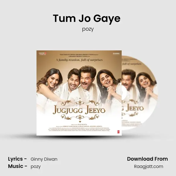 Tum Jo Gaye (Male Version) - pozy album cover 