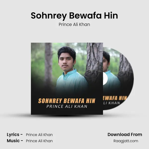 Sohnrey Bewafa Hin - Prince Ali Khan album cover 