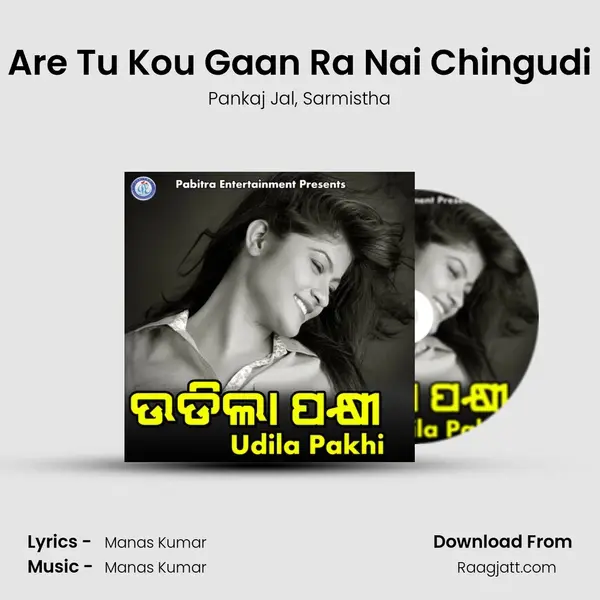 Are Tu Kou Gaan Ra Nai Chingudi - Pankaj Jal album cover 