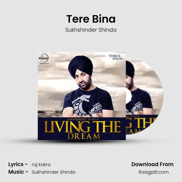 Tere Bina - Sukhshinder Shinda album cover 