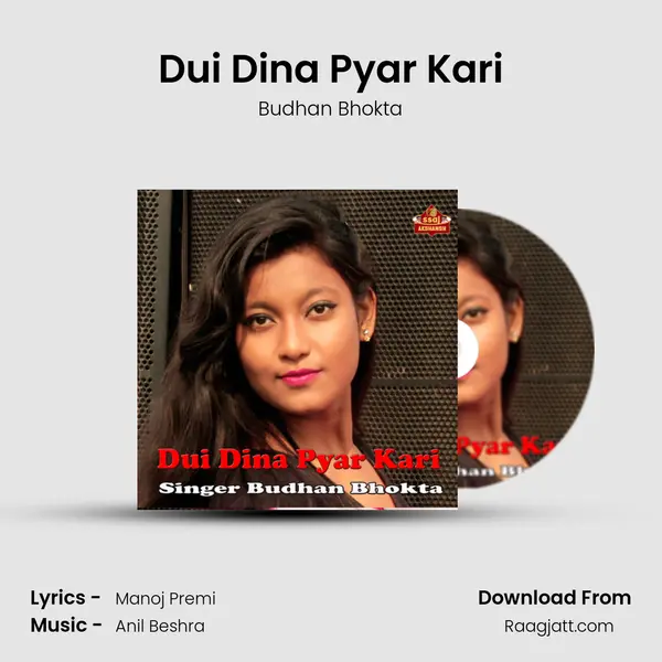 Dui Dina Pyar Kari mp3 song